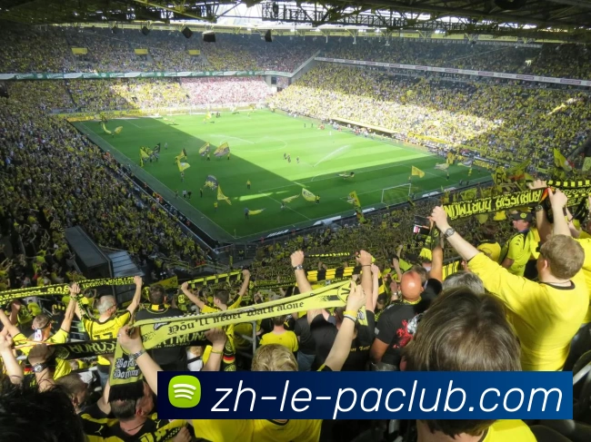 PA直营平台APP 体育赛事宣传图